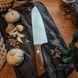 Ніж кухонний Brisa Chef Santoku 23100, 185 мм (Фінляндія) 23100 фото 1