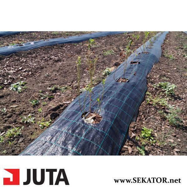 Агротканина Agrojutex / Agrocover (Чехія) 4.2*100 м АРТ0765 фото