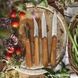 Набір кухонних ножів Opinel Les Essentials Olive, 002163 (Франція) 002163 фото 1