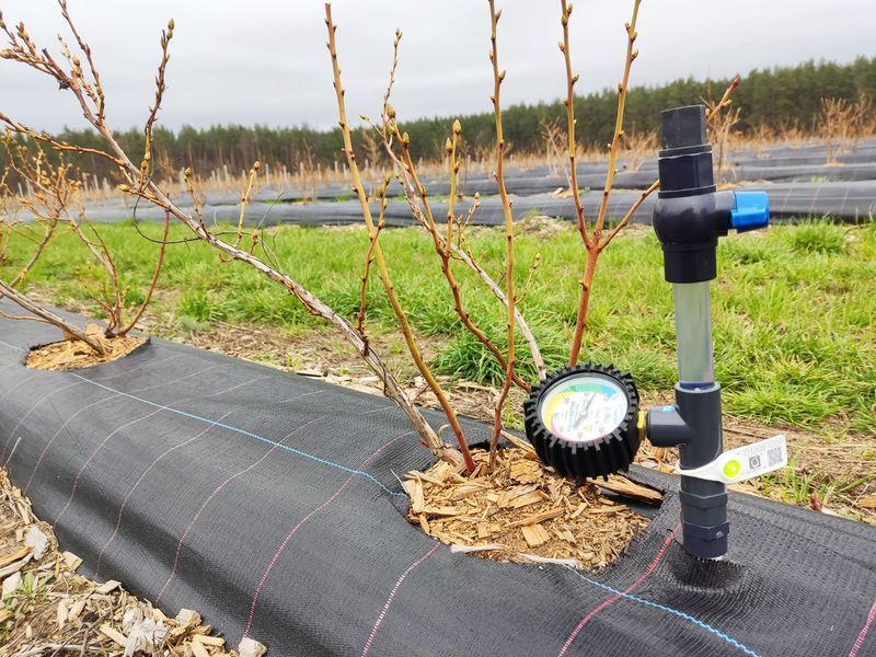 Професійний іригаційний тензіометр Акватек AQUAMETER PRO Т LT (Low Tension) (Україна) AQUAMETER PRO Т LT фото